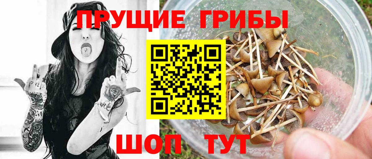 Керчь  Псилоцибиновые грибы мицелий  Вход с VPN 